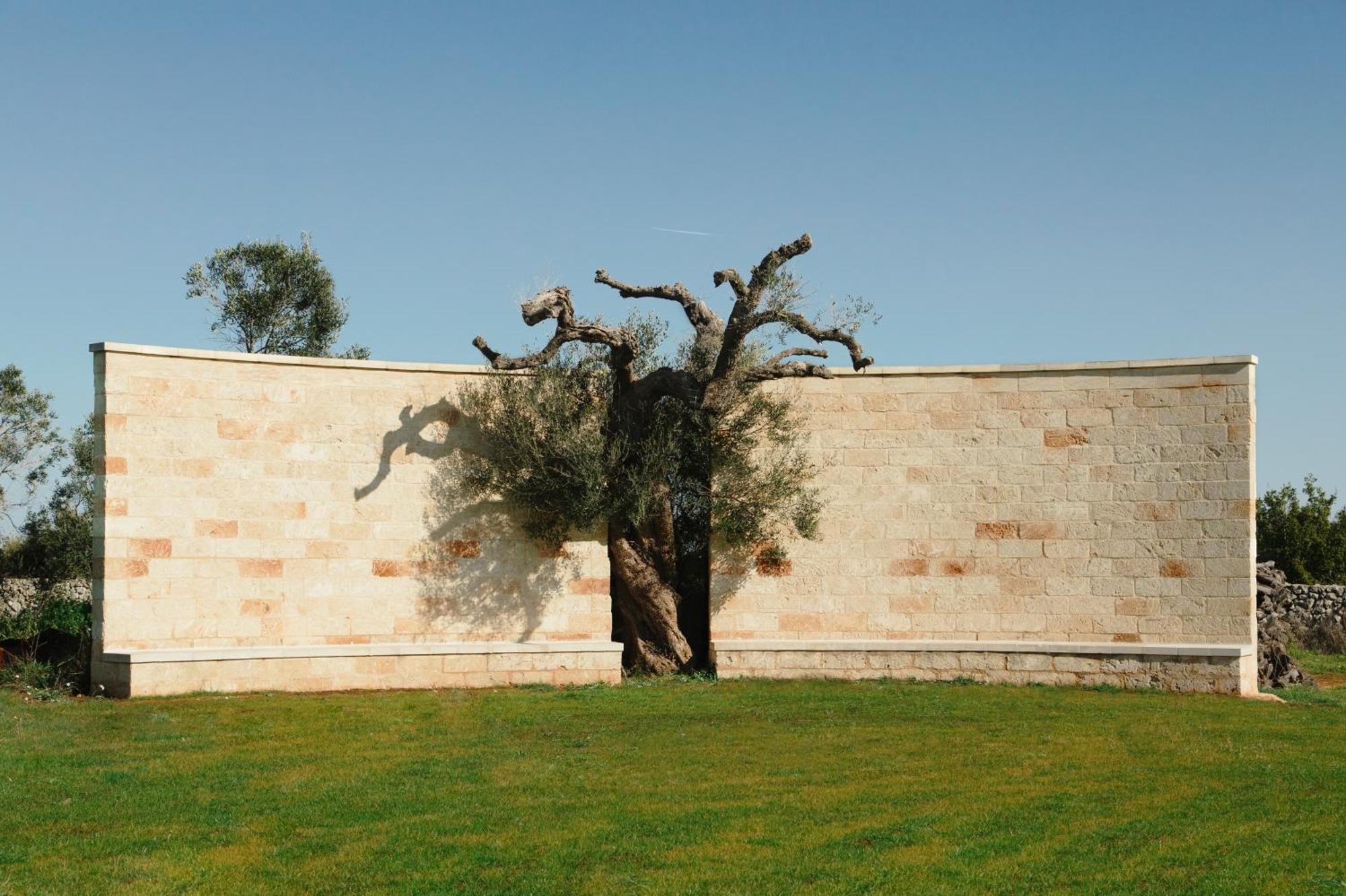 Secolario Masseria Del Viverbene Palmariggi Exterior foto